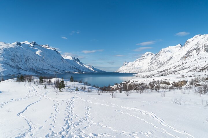 Scenic Arctic Fjords Road Trip (All Photos Included)