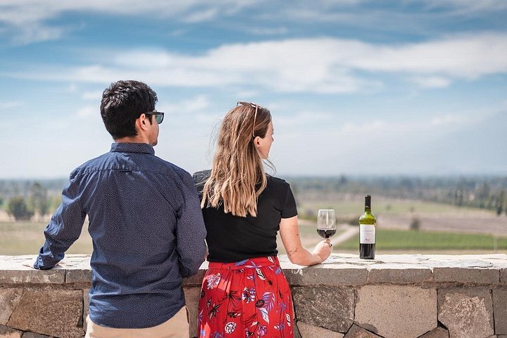 Haras de Pirque Winery Tour, Wine Tasting & Transportation