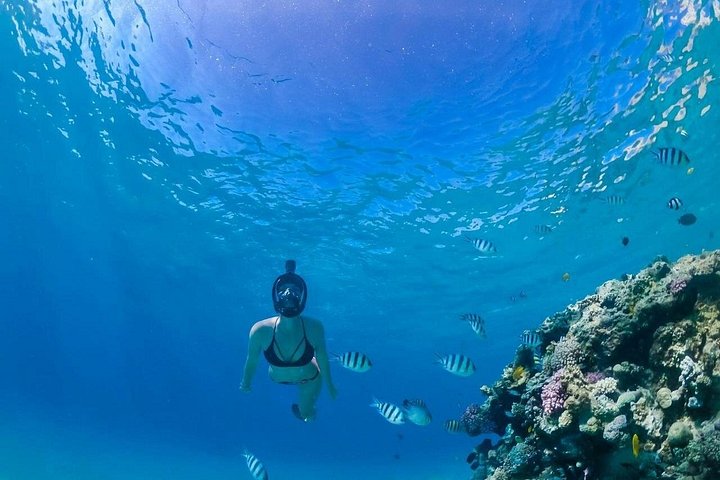 Hurghada Full Day Snorkeling Trip with Lunch Drinks Transfer