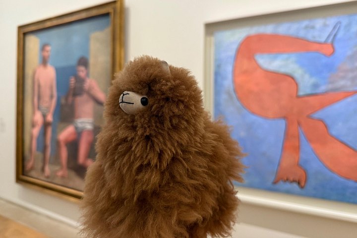 Guided Visit to the Museum of Picasso