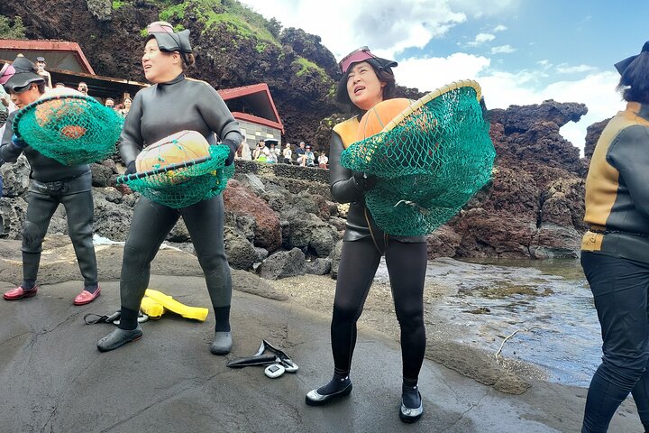 Jeju Island Private Van Taxi Free schedule Charter 5 to 9 hours