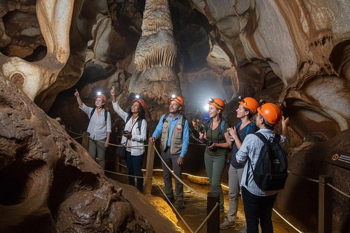 Half Day Cradle Of Humankind Tour