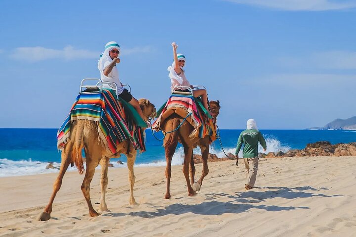 Cabo Migriño: Choose 2 Activities + Airport Transfers & Tequila