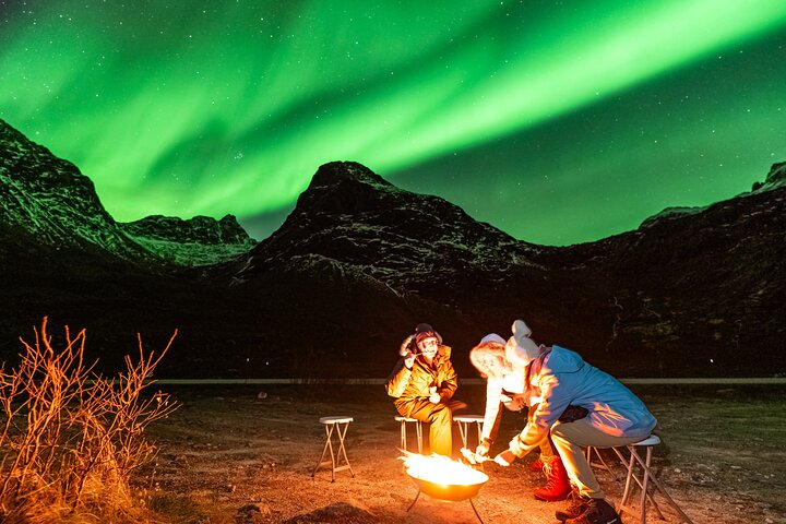 Tromso 8 Guests WoodLand Northern Light Photography Tour