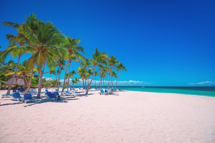 Dune Buggy & Beach Adventure – Puerto Plata Private Shore Tour