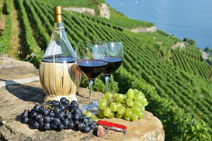 Krka Waterfalls Tour with authentic Wine and Olive Oil Tasting