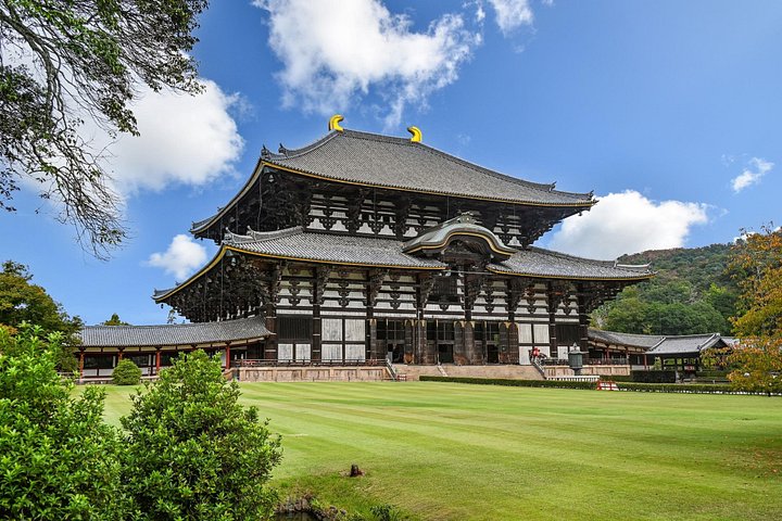 Nara Half Day Small Group Tour from Kyoto