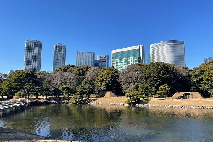 Hamarikyu Gardens and Ginza Park Tour