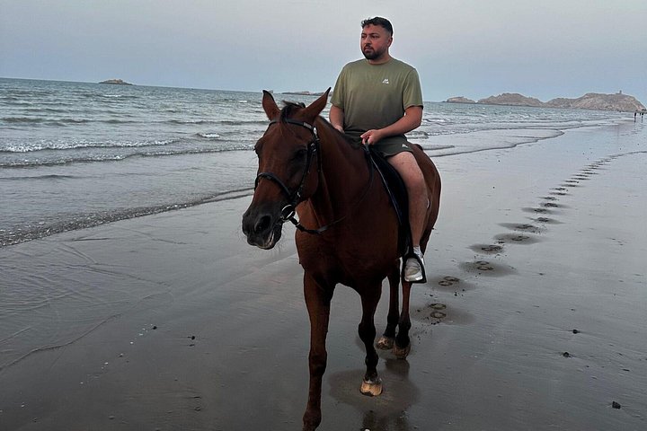 Guided Horse Ride in Muscat Oman Beach