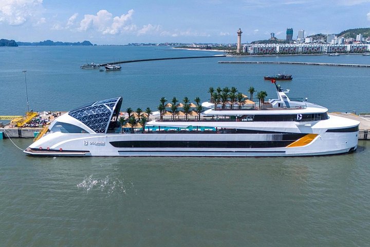 Discover the Beauty of Ha Long Bay with Dolphin Luxury Day Cruise
