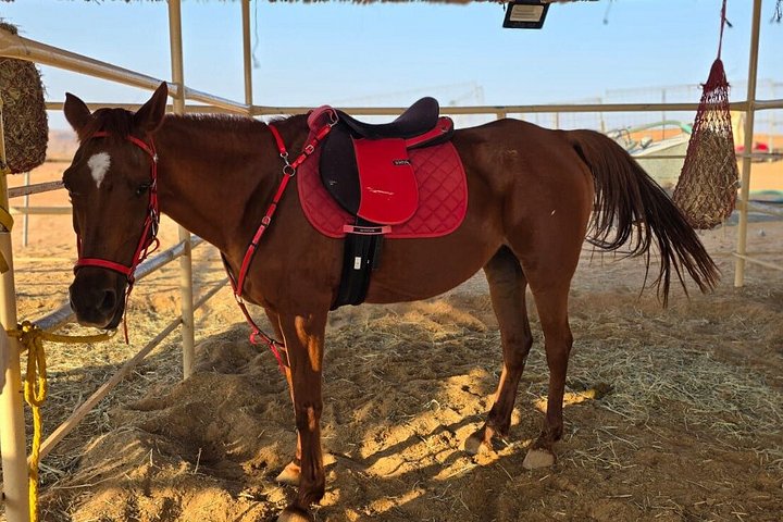 Private Horse Riding at Wahiba Sand Desert with Sunset Watch