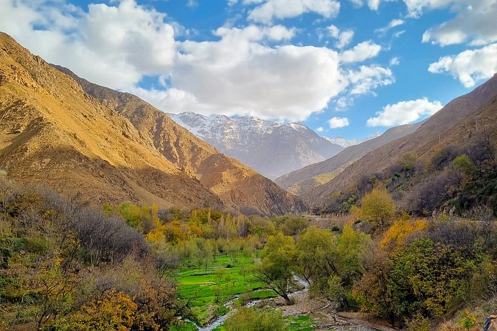 Ourika Valley Berber Villages and Nature Day Trip