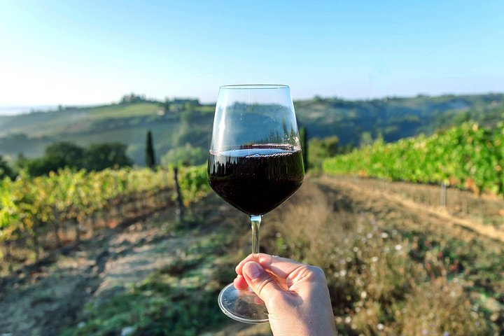Private Barcelona Vineyard Tasting Shore Tour