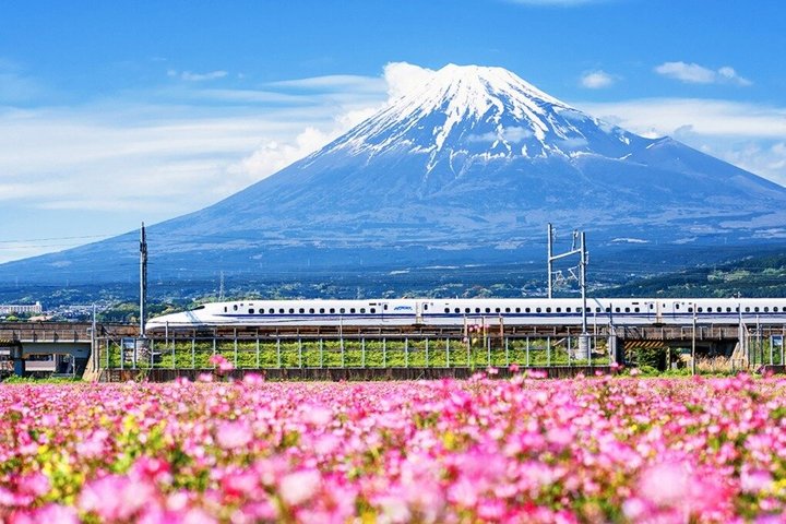 Mount Fuji Hakone Ausflug mit Seilbahn Optionale Kugelbahn Rückkehr