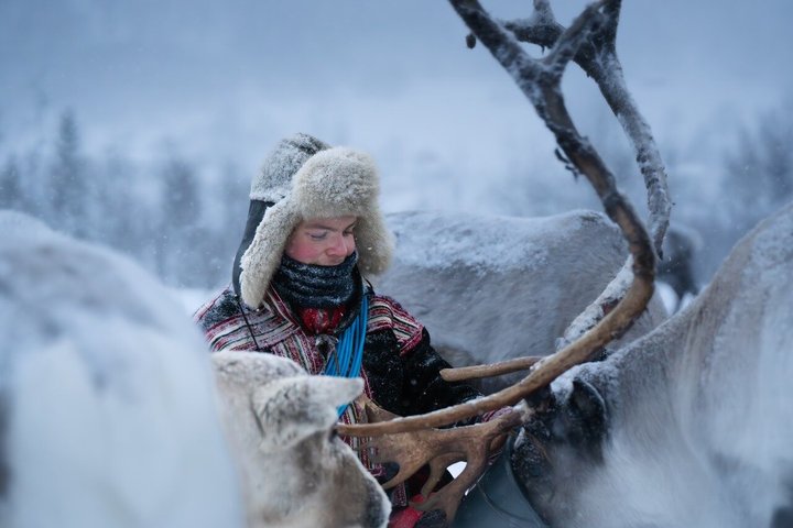 Reindeer Encounter and Sami Culture Tour with Pickup
