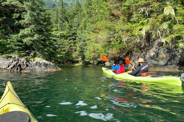 Wildlife Tour and Kayaking in Sitka