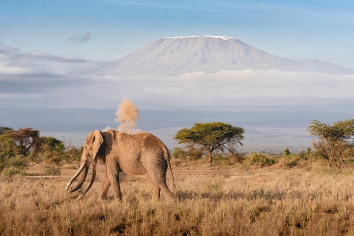 15 Day East Africa Photography Safari – Kenya & Tanzania