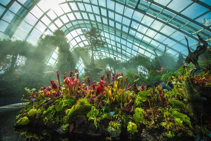 Gardens by the Bay Cloud Forest and Flower Dome Entry Ticket